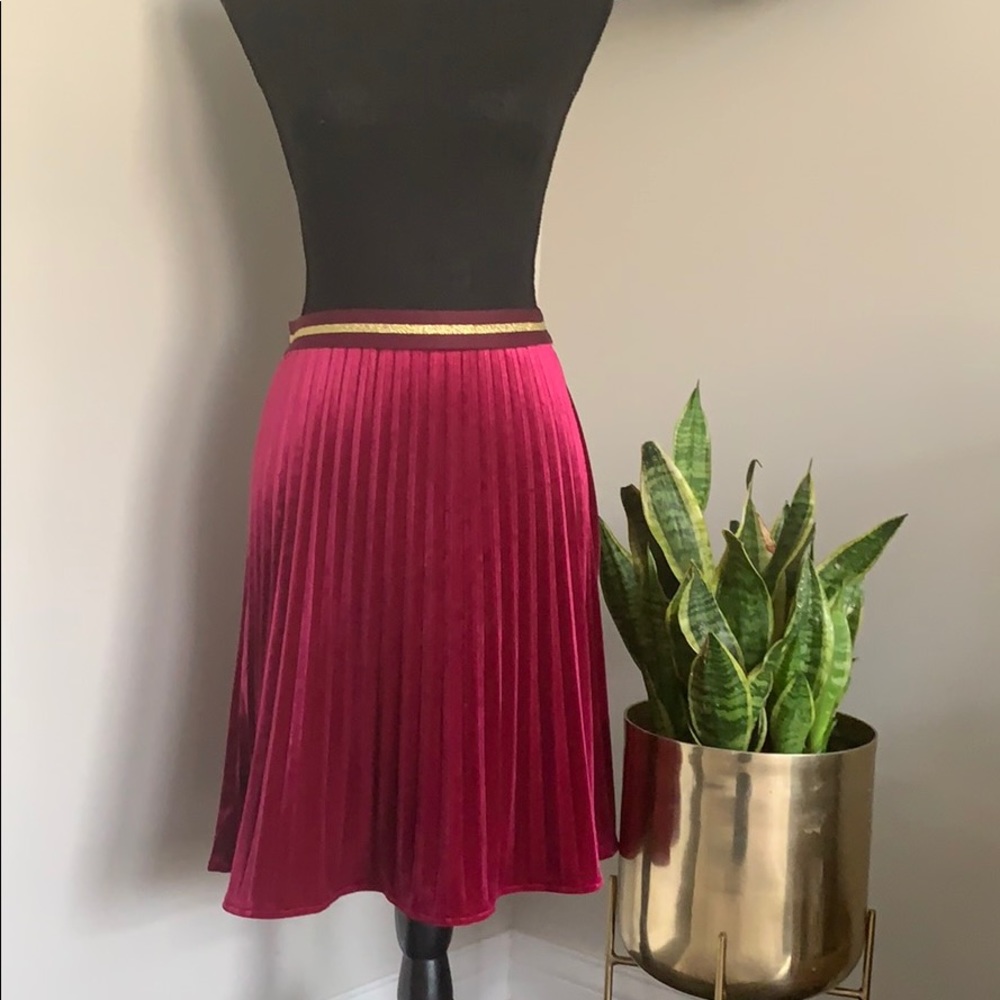 Anthropology pleated velvet skirt NWT XS